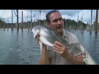 encounters with legendary fish season 1 episode 10 of 12 - adventures in south america (2010)