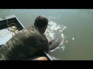 legendary fish encounters season 1 episode 9 of 12 shellfish in texas (2010)