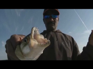 legendary fish encounters season 1 episode 2 of 12 biggest bass (2010)