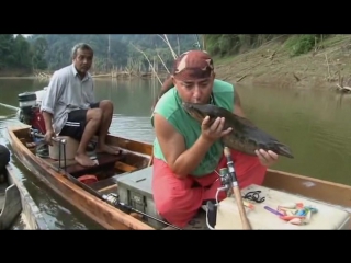 legendary fish encounters season 1 episode 3 of 12 thai snakeheads (2010)